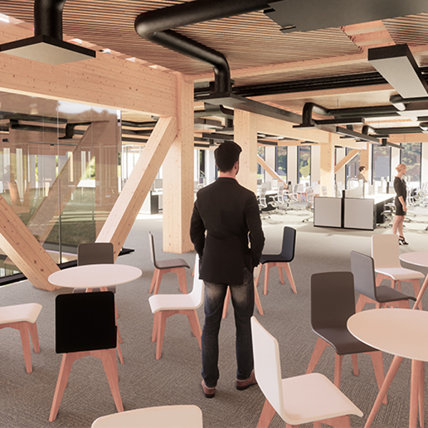 The Future of Offices: Mass Timber with Zero Carbon